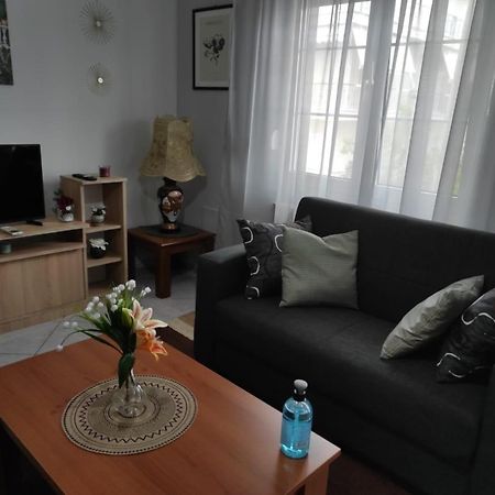 S.T Family Apartement Kalambaka Bagian luar foto