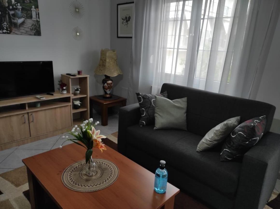 S.T Family Apartement Kalambaka Bagian luar foto