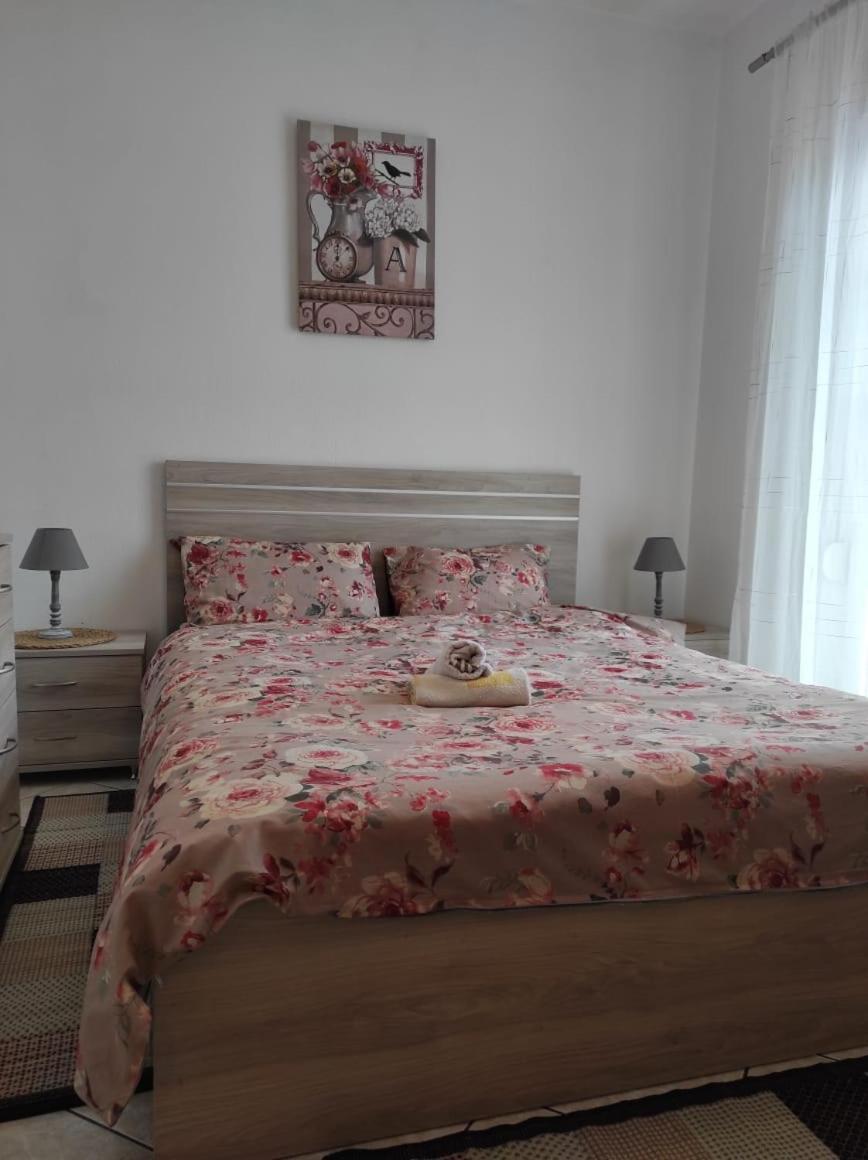 S.T Family Apartement Kalambaka Bagian luar foto